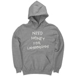 Need Money For Lamborghini - Youth Hoodie