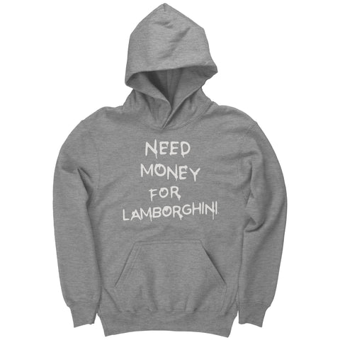 Need Money For Lamborghini - Youth Hoodie